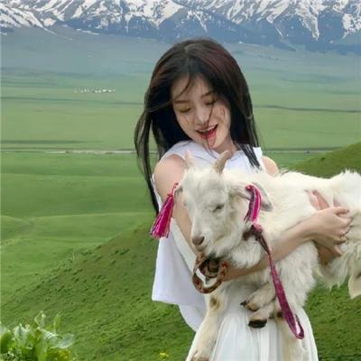 怪医黑杰克2011